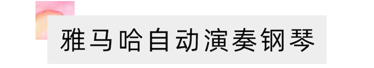 活动报道 | 远程艺术教育大师课活动——壹定发特邀艺术家张奕明大师课
